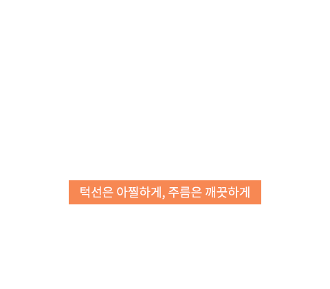 v라인리프팅 텍스트