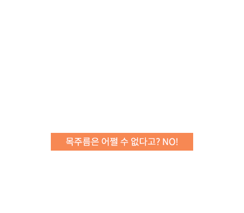 실리프팅 텍스트