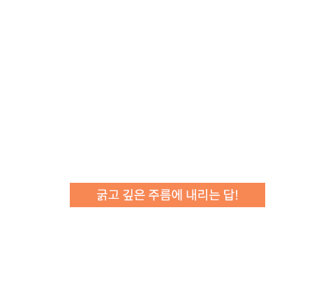 엔도타인리프팅 텍스트