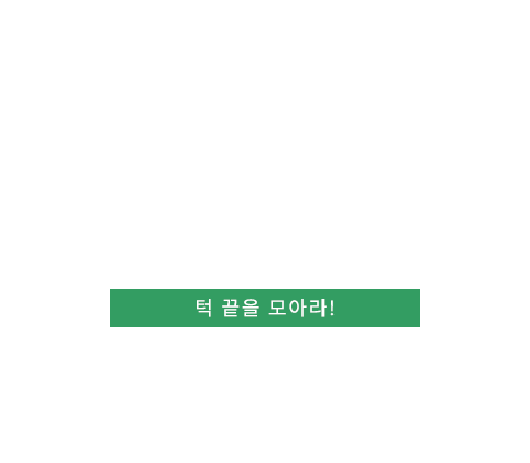 v라인수술 텍스트