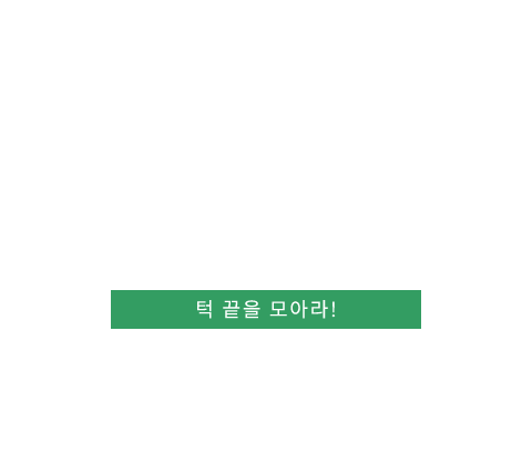 V라인수술 텍스트