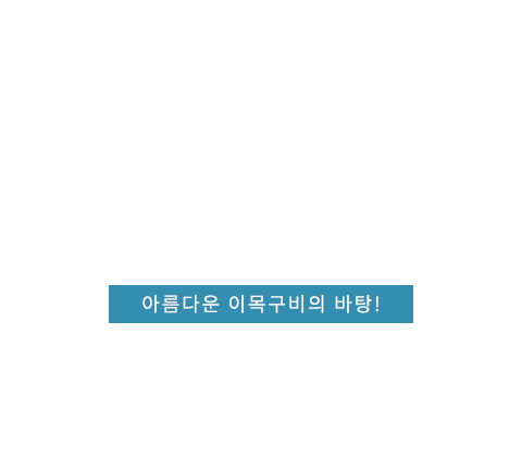 코성형 텍스트