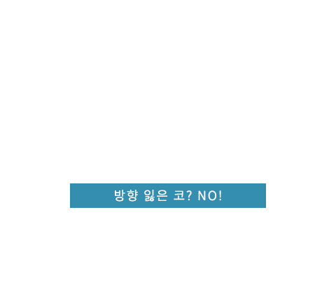 코성형 텍스트