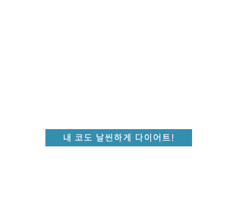 콧볼코성형 텍스트