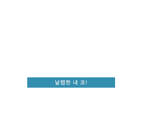 콧등성형 텍스트