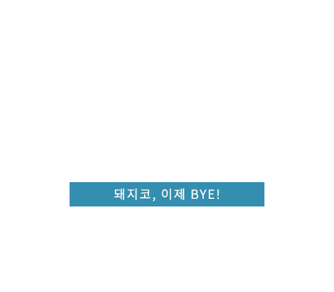 짧코성형 텍스트