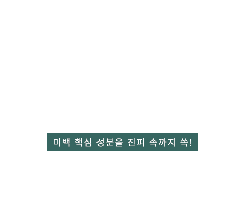 멜라도파 텍스트