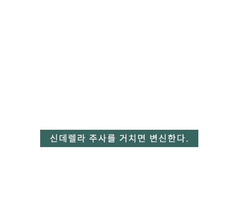 신데렐라주사 텍스트