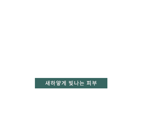 백옥주사 텍스트