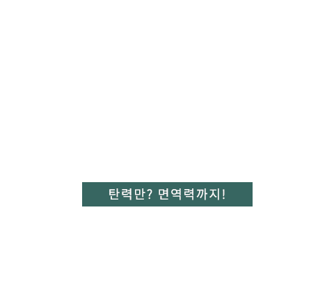 비타민주사 텍스트