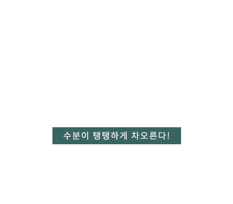 물광주사 텍스트