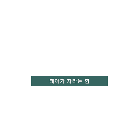 태반주사 텍스트