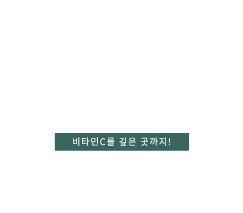 바이탈이온트 텍스트