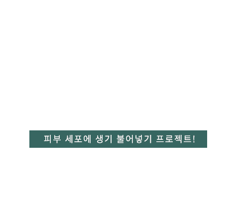 옥시제네오 텍스트